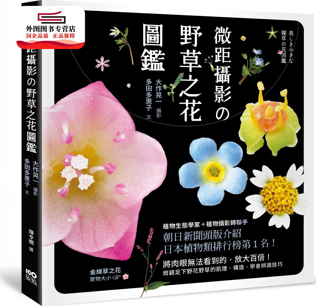 花构造 新人首单立减十元 21年8月 淘宝海外