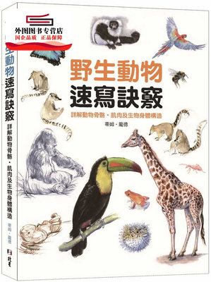 骨骼构造图 新人首单立减十元 21年10月 淘宝海外