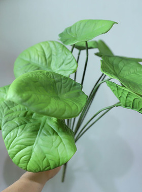 仿真软胶芋头叶大把束叶子绿植背景墙插花造景绿植花槽景观摆放草