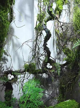 仿真青苔枯藤藤条塑料
