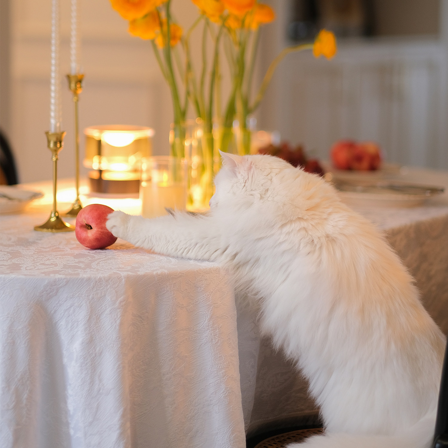 【博尔西帕】法式桌布高级感提花刺绣立体感茶台几布定制,淘宝优惠券,粉丝福利购,淘宝优惠卷