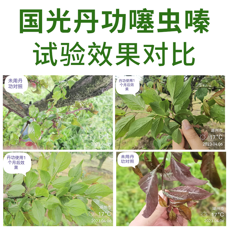 国光丹功杀虫剂噻虫嗪蚧壳虫紫薇月季蚜虫农药土壤杀虫颗粒撒施型 - 图2