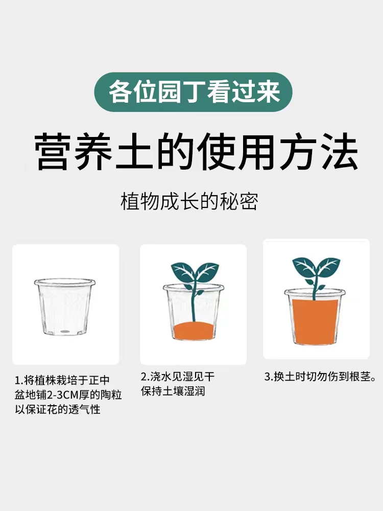 营养土花卉种植土通用型多肉月季绣球泥炭土壤种菜种花育苗花土 - 图1