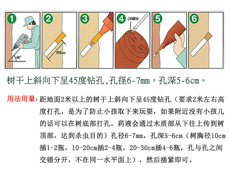 国光防蛀液剂天牛钻心虫杀虫剂 园林果树桃树除蛤虫蛀杆害虫6支装 - 图2