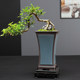 Boutique large Ge Kiln purple sand high style orchid special flower pot home indoor green plant potted cliff old pile pot
