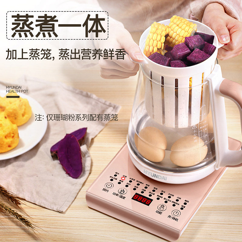 hyundai全自动多功能花茶养生壶 hyundai小泥人养生壶/煎药壶