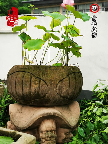 明清古典装饰老石槽浮雕鱼缸庭院养鱼池风水古石缸镇宅石雕聚宝盆 - 图0