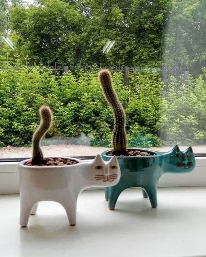 创意可爱猫咪尾巴花盆陶瓷个性卡通动物简约多肉猴尾柱仙人掌花盆 推萌网 创意可爱猫咪尾巴花盆陶瓷个性卡通动物简约多肉猴尾柱仙人掌花盆 推萌网