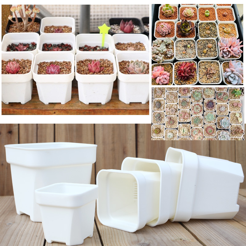 花满楼特厚加厚浅方盆小方黑白色多肉景天盆仙人球生石花番杏花盆,淘宝优惠券,粉丝福利购,淘宝优惠卷