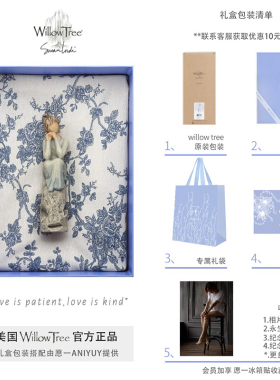 礼物涂鸦涂鸦礼物雕像摆件永生花