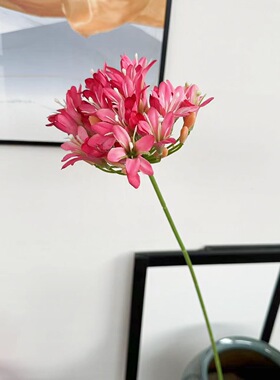 百子莲仿真花欧式家居装饰软装插花摆件婚庆造景摄影道具假花批发