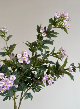 仿真花雪球花家居客厅装饰摆件北欧简约ins风插花花艺摄影摆件