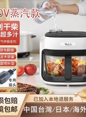 中国台湾110V空气炸锅美规版