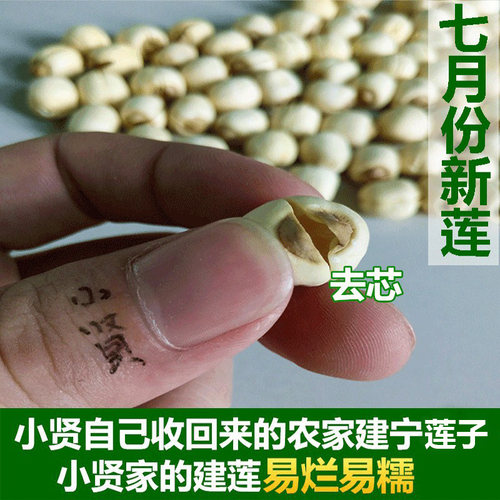 2026新福建正宗建宁农家自产鲜手工去无芯白莲子特干级货大颗450g - 图0