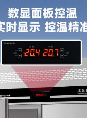 高品质冰箱商用冷柜节能速冻双温
