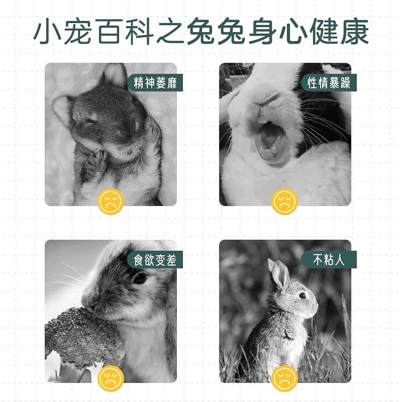 yee提摩西草球兔子磨牙麻花豚鼠龙猫解闷玩具零食手工编织用品 - 图1