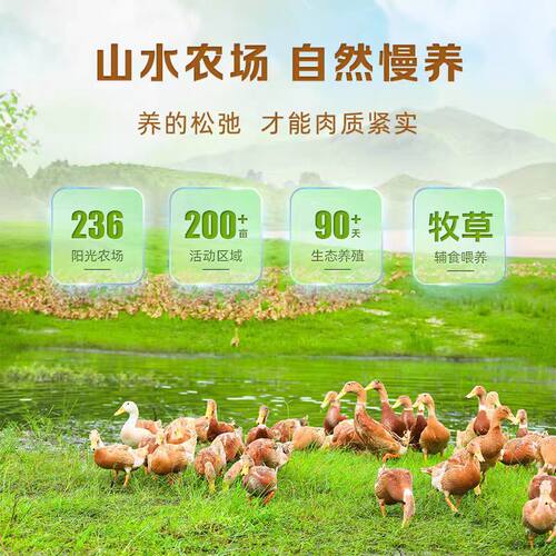 舜华临武鸭湖南郴州特产看足球零食夜宵卤香味山茶油酱板鸭肉零食 - 图1