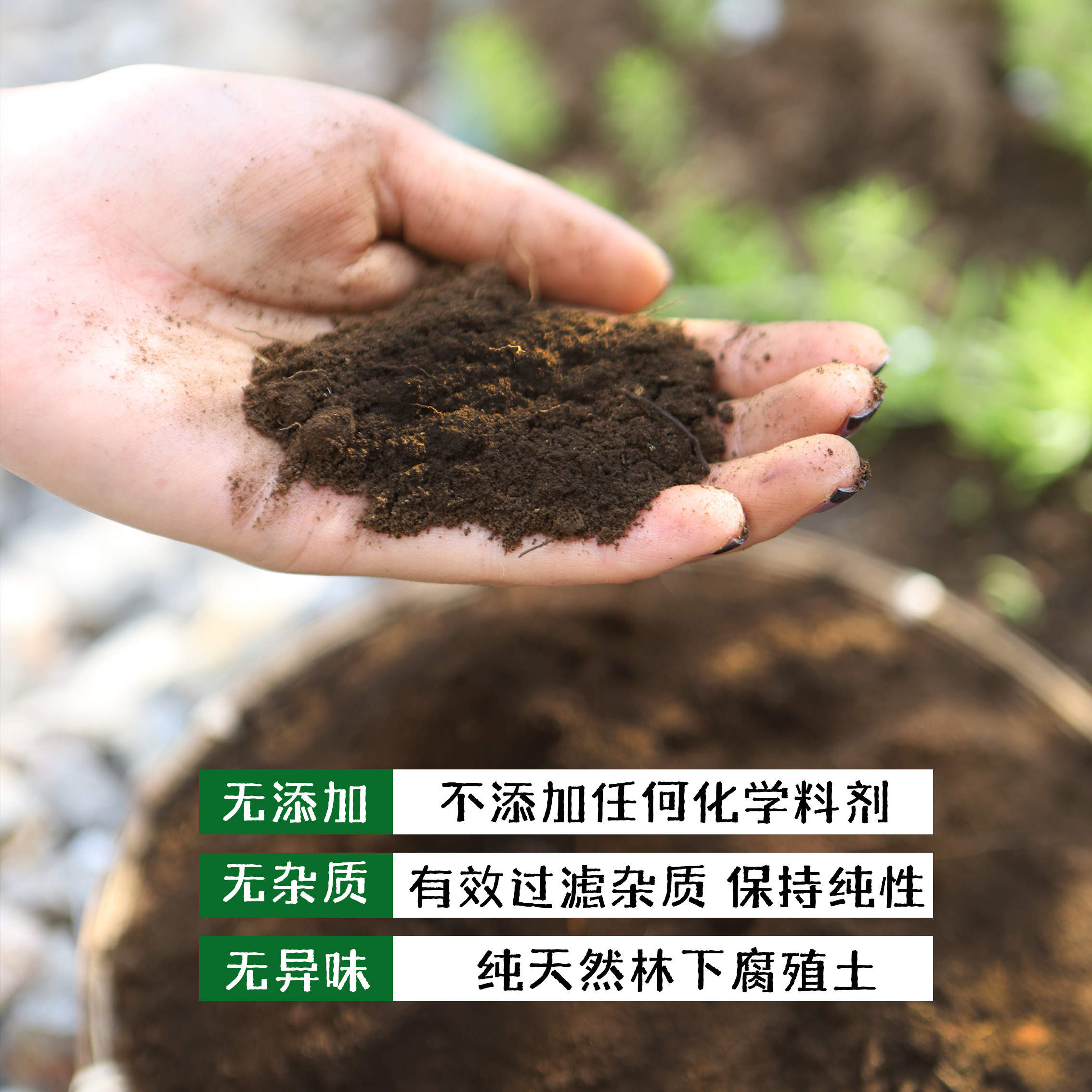 云南黑土蜂蜜(云南黑土蜂的功效) 云南黑土蜂蜜(云南黑土蜂的功效)