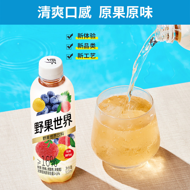 野果世界 沁润 气泡饮 发酵气泡饮料 310mL*15瓶 天猫优惠券折后￥29包邮（￥69-40）
