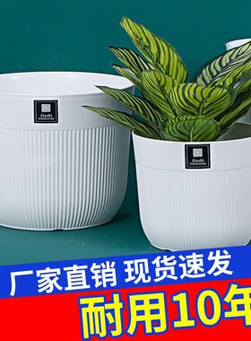 【控根花盆】清仓捡漏大号多肉大口径养花专用特大号大口径塑料