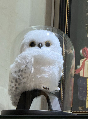 适用于哈利波特环球影城海德薇猫头鹰玻璃罩展示盒信使玩偶防尘罩