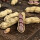 Star Pie Shelled Garlic Longyan Peanuts Farm New Nuts Roasted Seeds Casual New Year Snacks Boiled Wet Roasted Appetizers