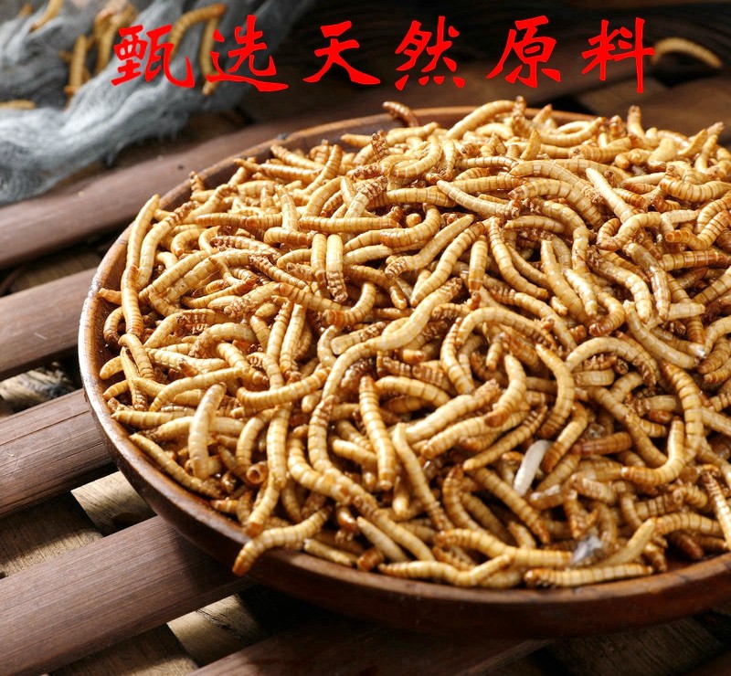 营养面包虫干黄粉虫干仓鼠粮食刺猬乌龟鸟类小宠饲料宠物零食包邮,淘宝优惠券,粉丝福利购,淘宝优惠卷