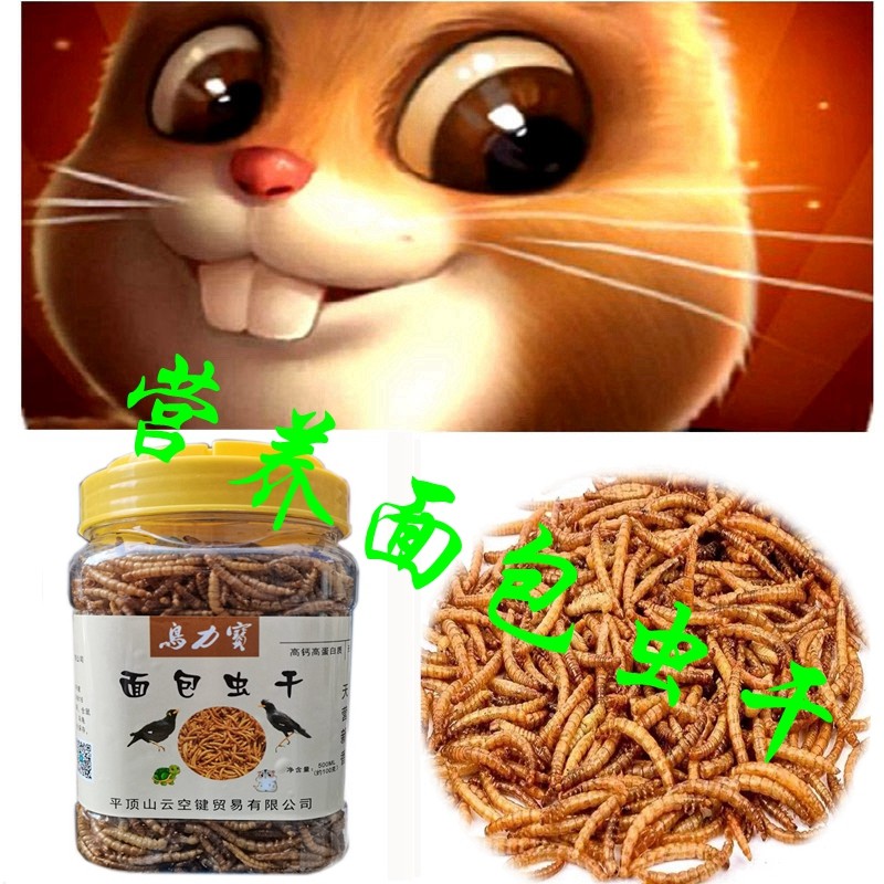 营养面包虫干黄粉虫干仓鼠粮食刺猬乌龟鸟类小宠饲料宠物零食包邮,淘宝优惠券,粉丝福利购,淘宝优惠卷