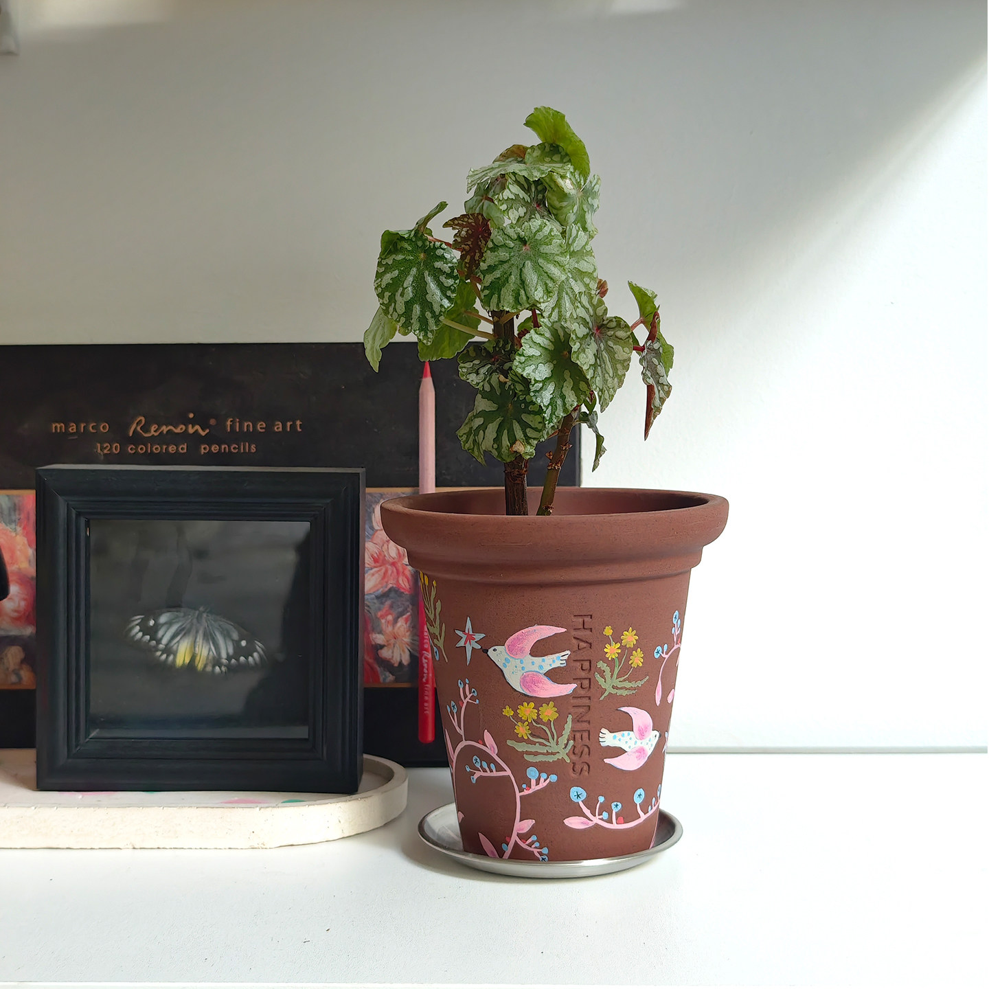 小口径粗陶紫砂花盆办公桌面绿植蝴蝶兰球兰利水透气家用装饰摆件,淘宝优惠券,粉丝福利购,淘宝优惠卷