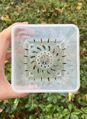 方形透明花盆海芋蝴蝶兰专用透气