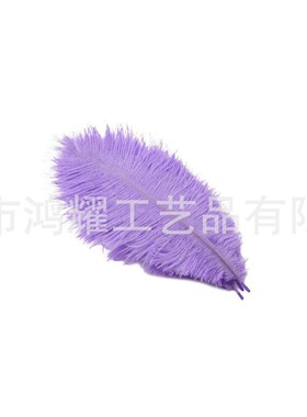 彩色鸵鸟羽毛婚庆装饰