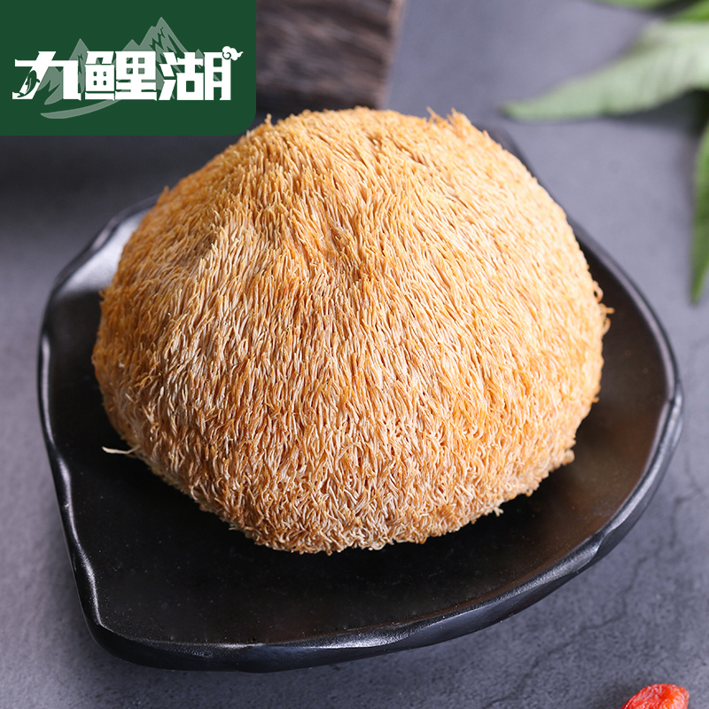 Jiuli Lake Hericium Monkey Mushroom Dried Food 150g Monkey Mushroom