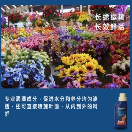进口荷兰可利鲜鲜花保鲜剂营养液延长剂加强型通用型HVB花店专用,淘宝优惠券,粉丝福利购,淘宝优惠卷