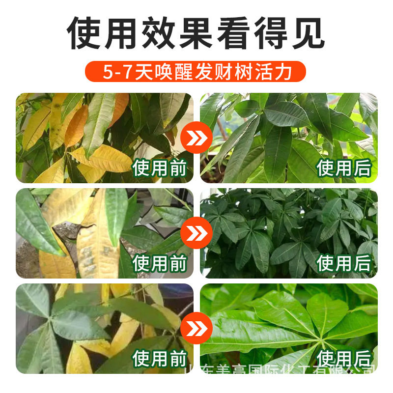 发财树营养液绿植专用有机肥料盆栽绿叶生长通用型营养素,淘宝优惠券,粉丝福利购,淘宝优惠卷