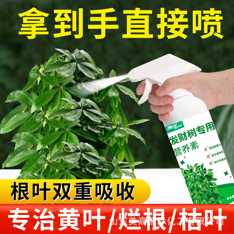 发财树营养液绿植专用有机肥料盆栽绿叶生长通用型营养素,淘宝优惠券,粉丝福利购,淘宝优惠卷