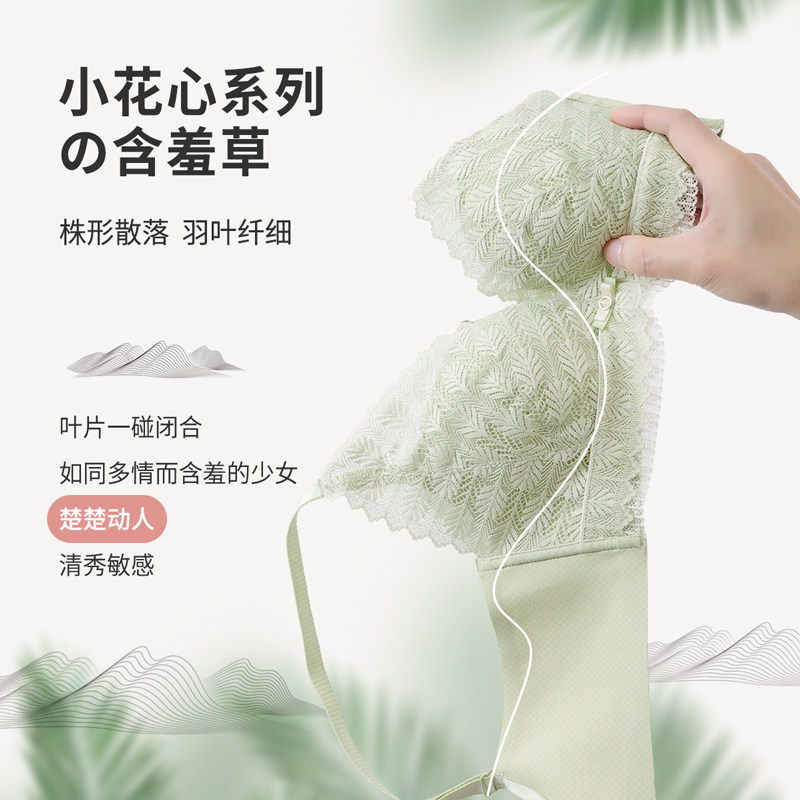 2022春季新款都市丽人益母草文胸 都市丽人文胸