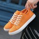 Summer breathable thin canvas shoes men's trendy sneakers