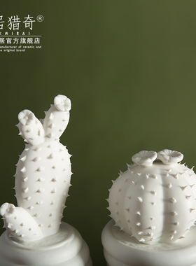 北欧家居电视柜装饰工艺品陶瓷仙人掌摆件道具 真多肉植物盆栽
