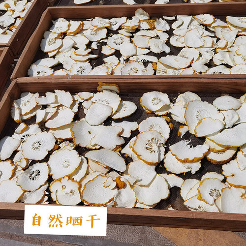 香橼片农家自种香橼果 自切晒干香橼片泡茶非佛手干片 中药材500g - 图2