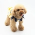 Aipet Pet Quần áo Tôi là BANANA Banana In VIP Teddy Puppy Dress Váy - Quần áo & phụ kiện thú cưng áo cho chó giá rẻ Quần áo & phụ kiện thú cưng