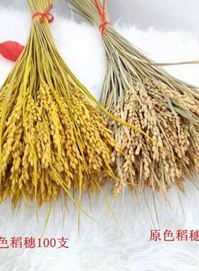 稻穗演出道具麦穗干花艺术装饰品
