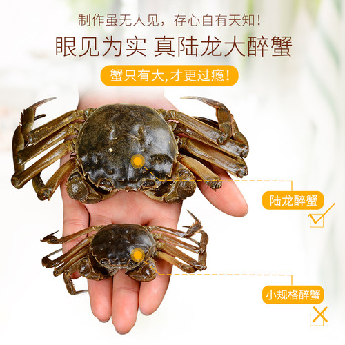 偏淡更好口感即食罐装生腌非熟醉蟹陆龙兄弟海诺醉河蟹1100g约6只 - 图2