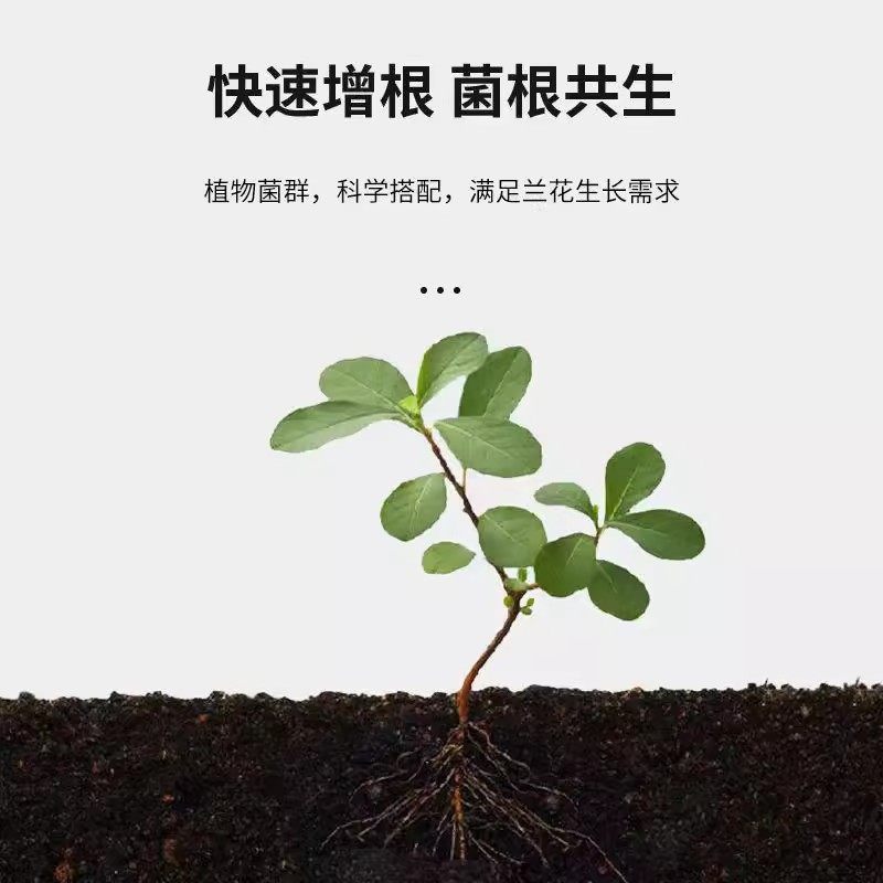 兰花专用营养液促花箭兰花肥料专用肥治黄叶黑斑烂根营养肥开花肥,淘宝优惠券,粉丝福利购,淘宝优惠卷