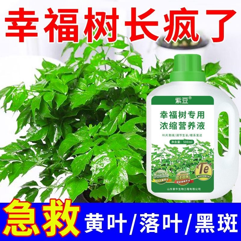 营养液植物通用型绿萝富贵竹发财树多肉水培养花卉绿植盆栽花肥料-图2