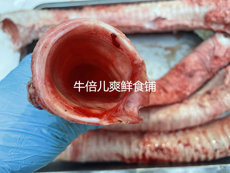 国产1斤新鲜牛喉管 黄牛杂 生牛脆 骨牛气管 牛食管 - 图0