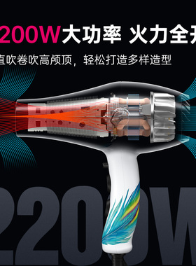 火之凤吹风机8960发型师专用理发店发廊家用速干负离子护发吹风筒