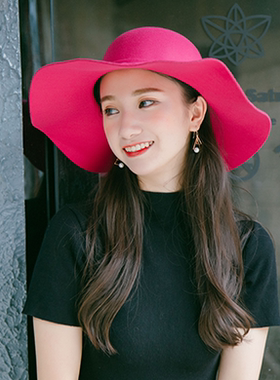 复古女秋冬大檐时尚毛呢帽