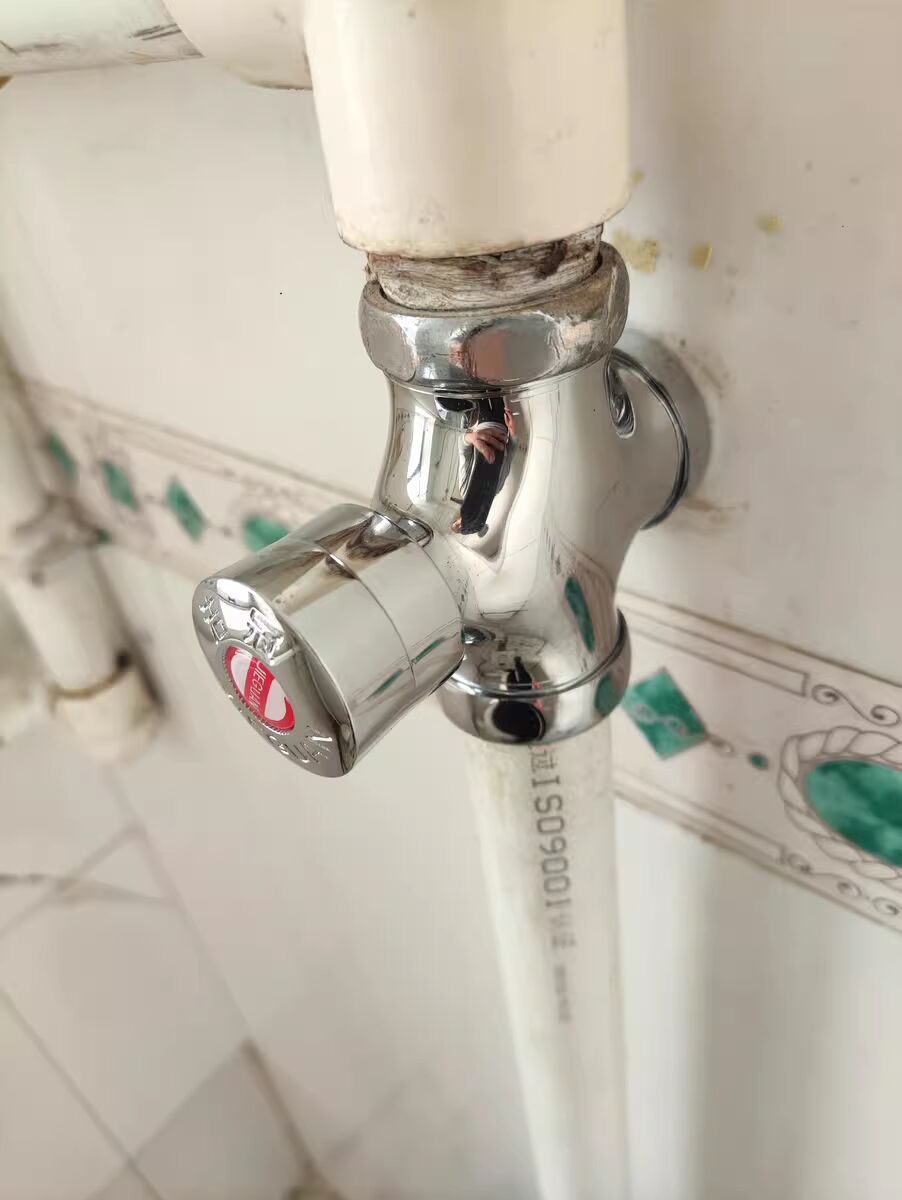 厕所冲水阀手按式蹲便器冲洗阀门开关延时阀卫生间大便器按压便池 - 图0