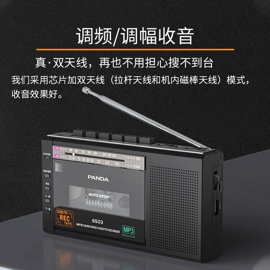 Panda Micro Portable Voice Recorder