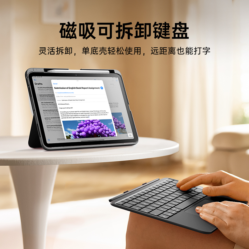 ɫipad10/11ؼ̱316Ԫ
